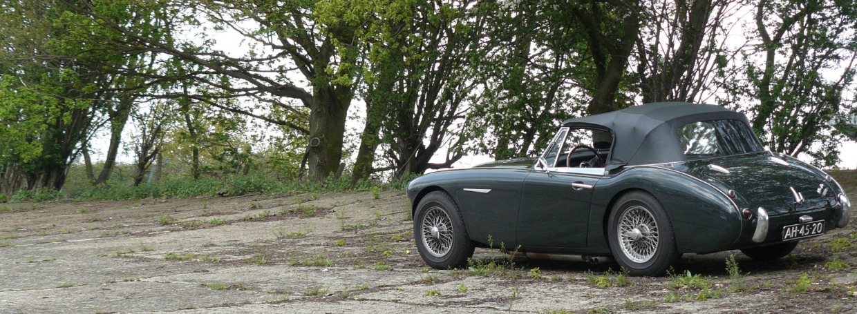 Healey